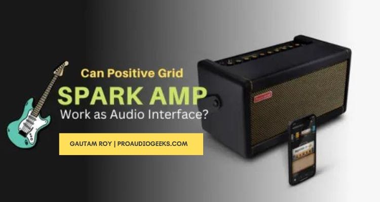 Can Positive Grid Spark Amp Work as Audio Interface